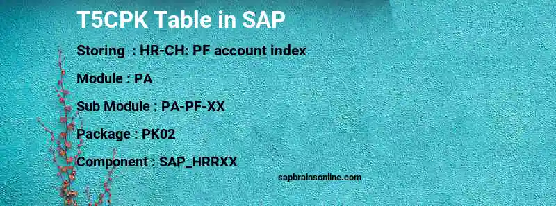 SAP T5CPK table