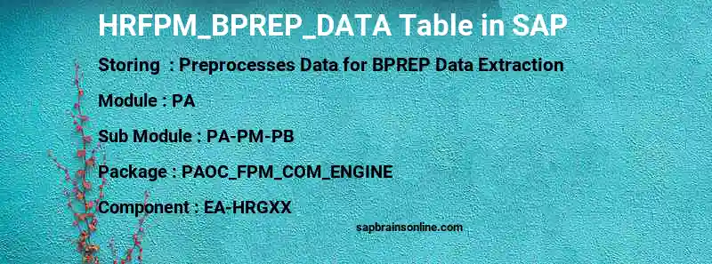 SAP HRFPM_BPREP_DATA table