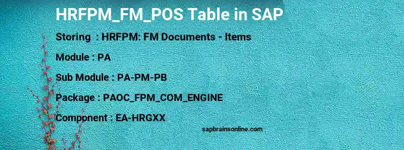 SAP HRFPM_FM_POS table