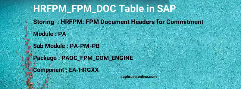 SAP HRFPM_FPM_DOC table