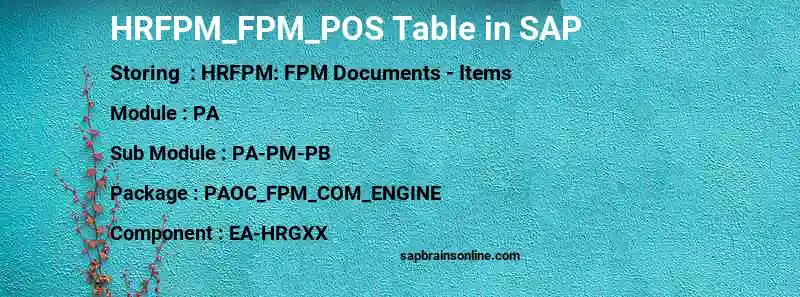 SAP HRFPM_FPM_POS table
