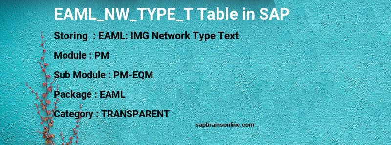 SAP EAML_NW_TYPE_T table