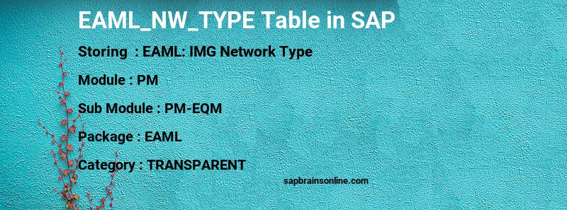 SAP EAML_NW_TYPE table