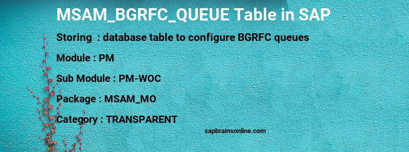 SAP MSAM_BGRFC_QUEUE table
