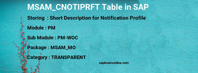 SAP MSAM_CNOTIPRFT table