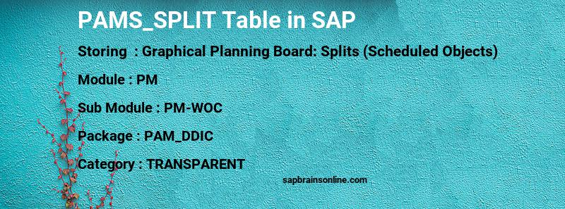 SAP PAMS_SPLIT table