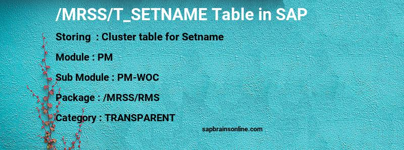 SAP /MRSS/T_SETNAME table