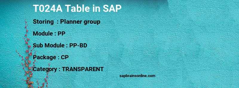 SAP T024A table