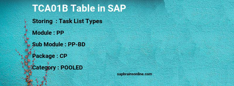 SAP TCA01B table