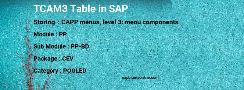 SAP TCAM3 table