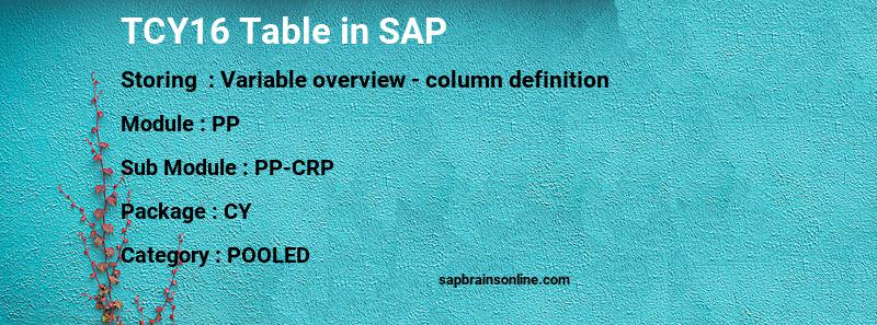 SAP TCY16 table