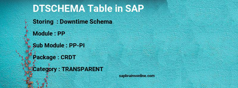 SAP DTSCHEMA table