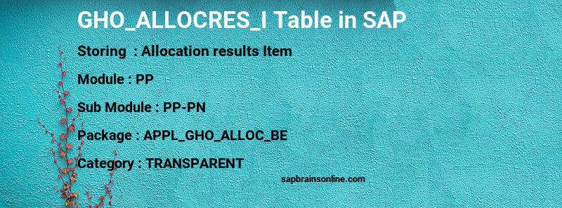 SAP GHO_ALLOCRES_I table