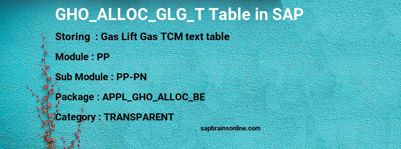 SAP GHO_ALLOC_GLG_T table