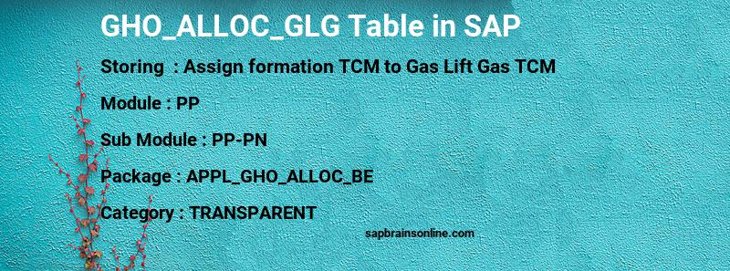 SAP GHO_ALLOC_GLG table