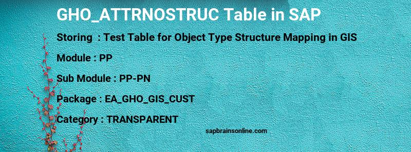 SAP GHO_ATTRNOSTRUC table