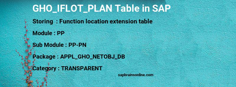SAP GHO_IFLOT_PLAN table