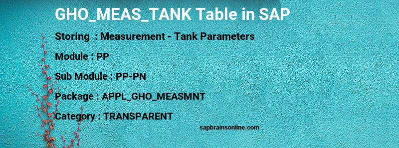 SAP GHO_MEAS_TANK table