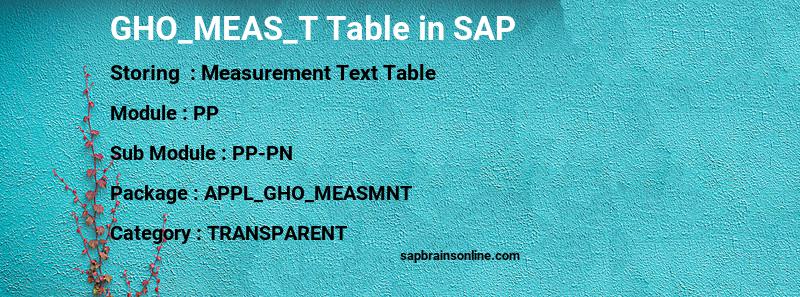 SAP GHO_MEAS_T table