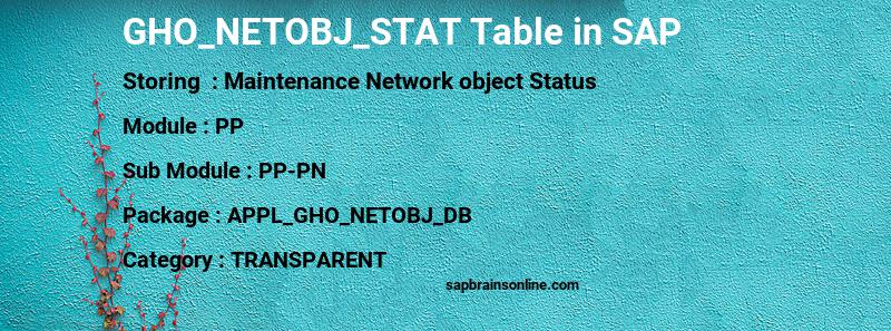 SAP GHO_NETOBJ_STAT table
