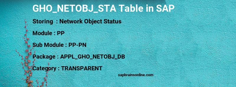 SAP GHO_NETOBJ_STA table