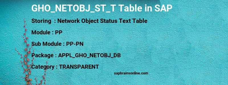 SAP GHO_NETOBJ_ST_T table