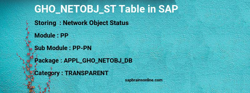 SAP GHO_NETOBJ_ST table