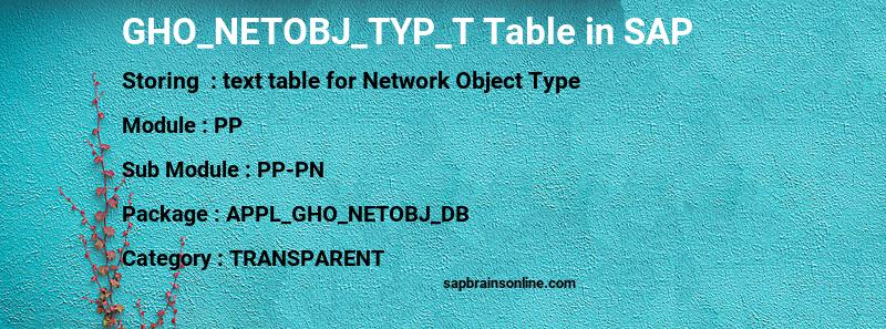 SAP GHO_NETOBJ_TYP_T table