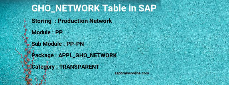 SAP GHO_NETWORK table