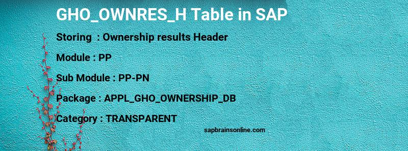 SAP GHO_OWNRES_H table
