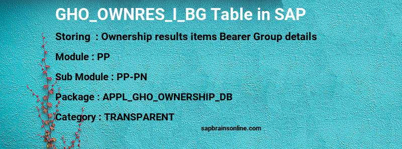 SAP GHO_OWNRES_I_BG table