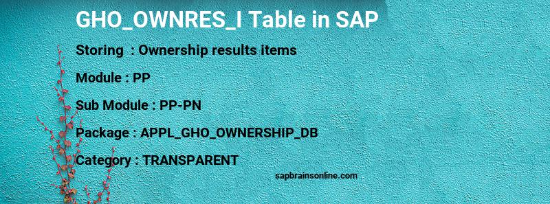 SAP GHO_OWNRES_I table