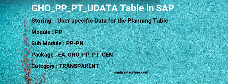 SAP GHO_PP_PT_UDATA table