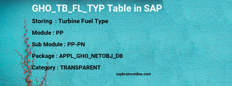 SAP GHO_TB_FL_TYP table