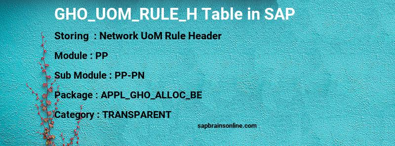 SAP GHO_UOM_RULE_H table