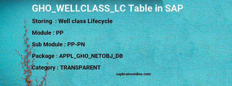 SAP GHO_WELLCLASS_LC table