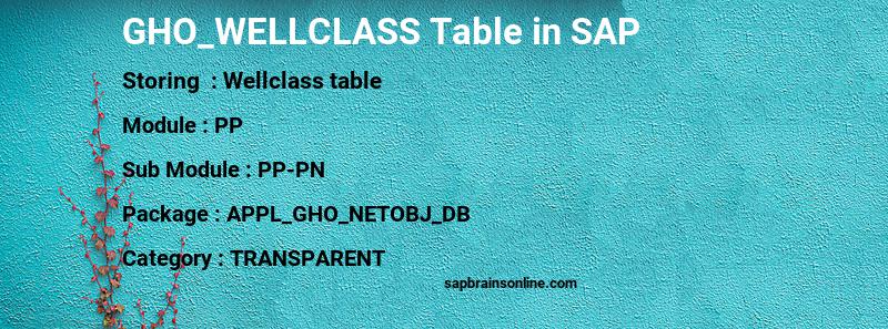 SAP GHO_WELLCLASS table