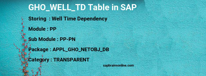 SAP GHO_WELL_TD table