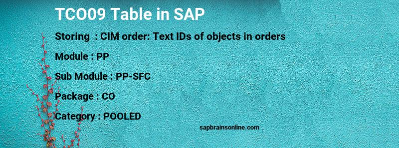 SAP TCO09 table