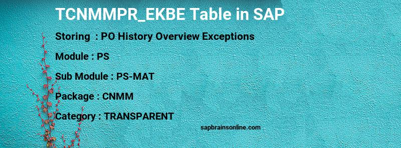 SAP TCNMMPR_EKBE table