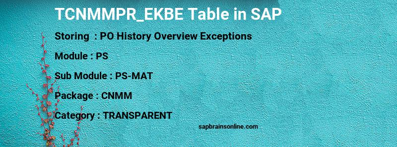 SAP TCNMMPR_EKBE table
