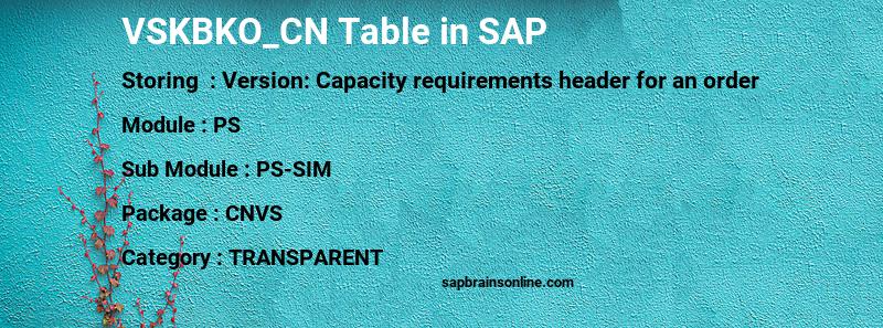 SAP VSKBKO_CN table