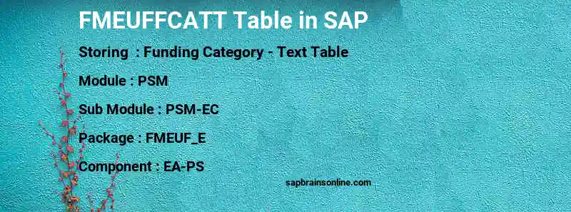 SAP FMEUFFCATT table