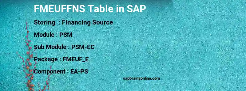 SAP FMEUFFNS table