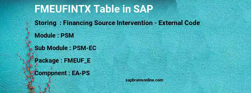 SAP FMEUFINTX table
