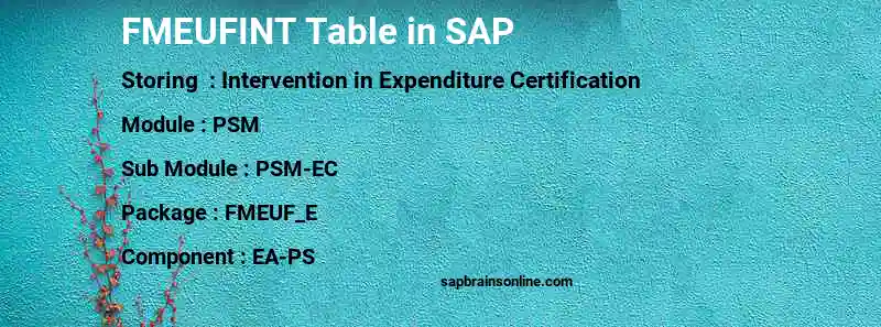 SAP FMEUFINT table