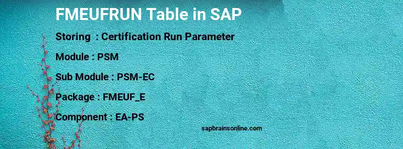 SAP FMEUFRUN table