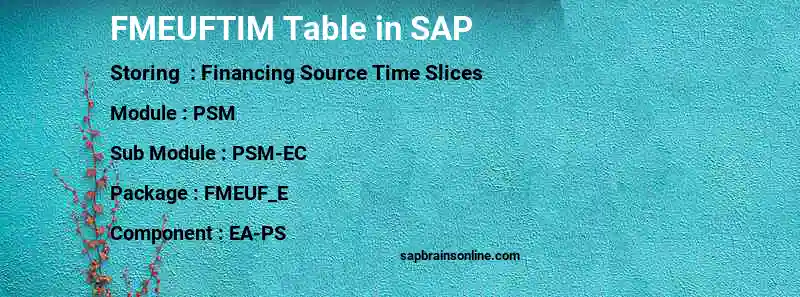 SAP FMEUFTIM table