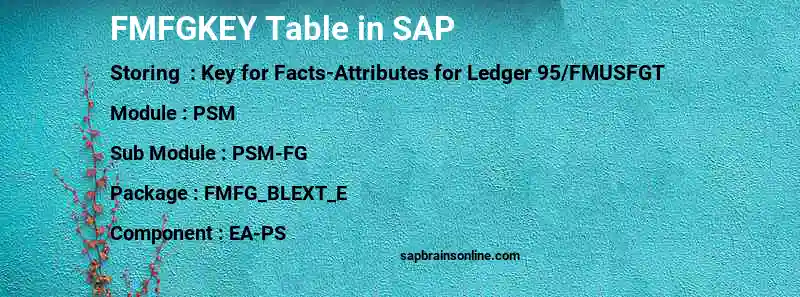 SAP FMFGKEY table
