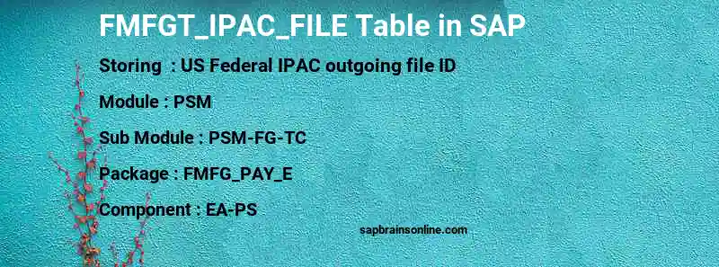 SAP FMFGT_IPAC_FILE table